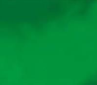 Embalagem Para Bolo 20x22cm Verde Escuro Nova Aliança PCT/50un