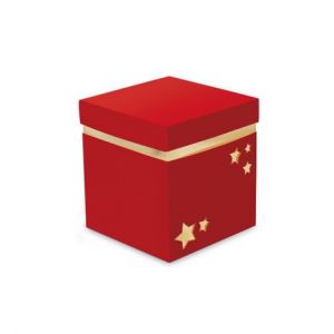 Caixa Cubo Vazado Para Panetone 500gr Vermelho/Ouro Cromus 